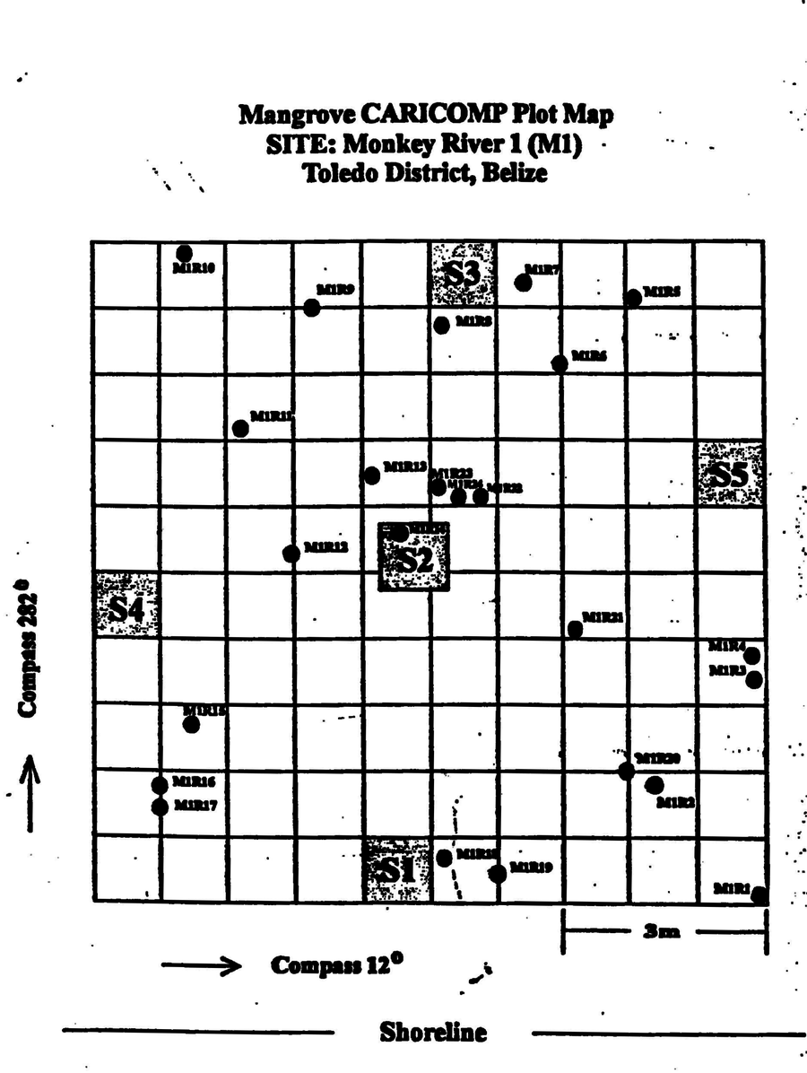 Figure 11 recovered from the original manuscript