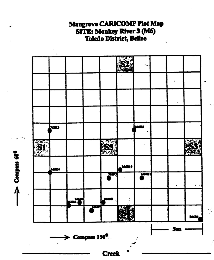 Figure 13 recovered from the original manuscript