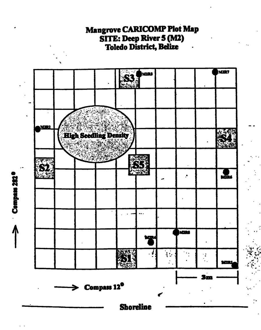 Figure 15 recovered from the original manuscript